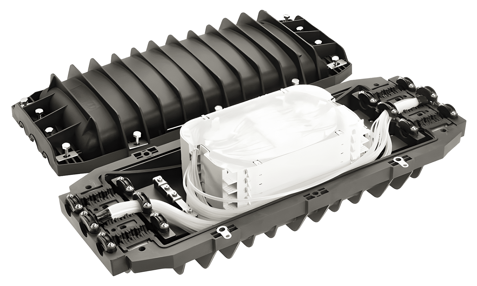 PRJC-IL-6806-24-P